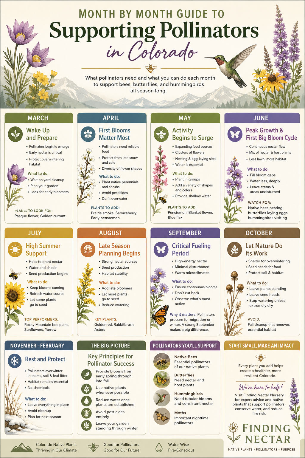 Month by Month Guide to Supporting Pollinators in Colorado - Finding Nectar