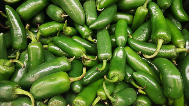 Pepper - Early Jalapeno (Capsicum annuum)