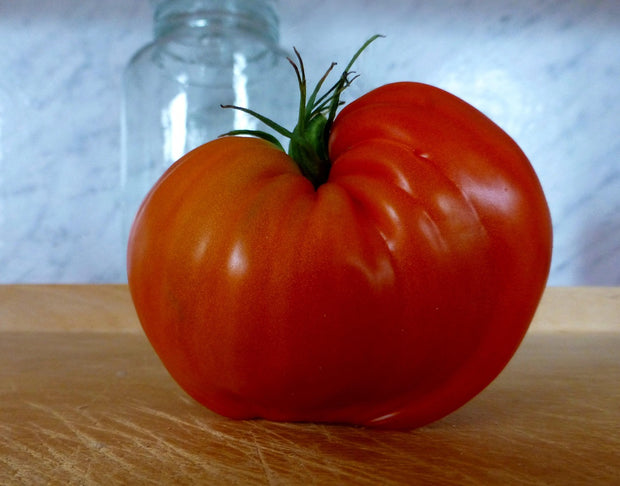 Tomato - Beefstake (Solanum lycopersicum)