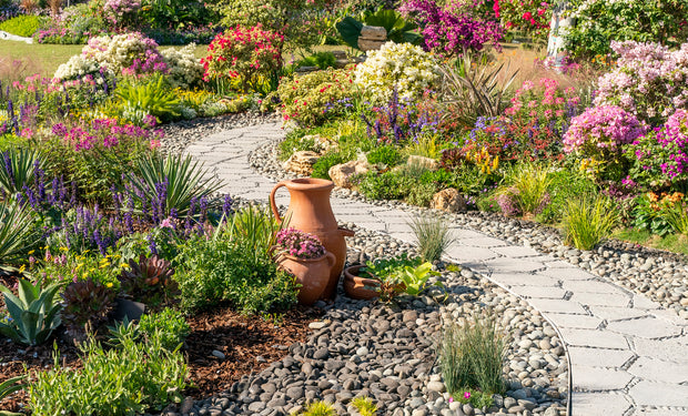🌿 Ultra-Low-Water Garden Kit